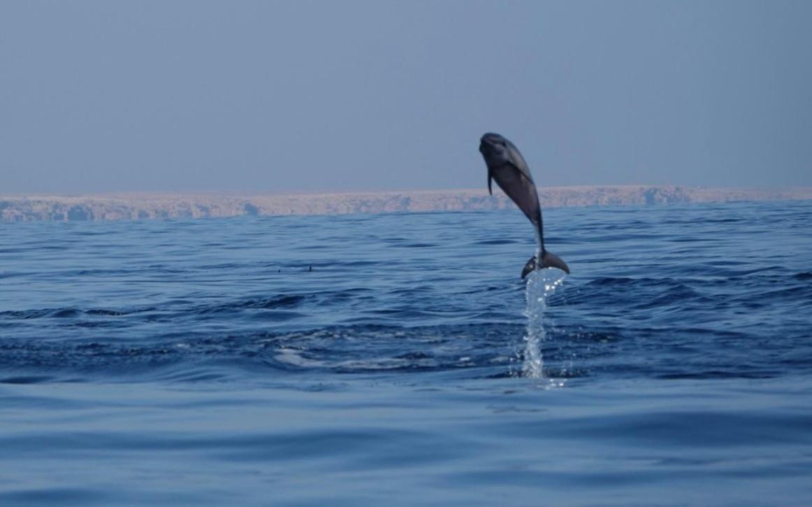 Salem Fish Guest House Ras al Hadd Exterior foto