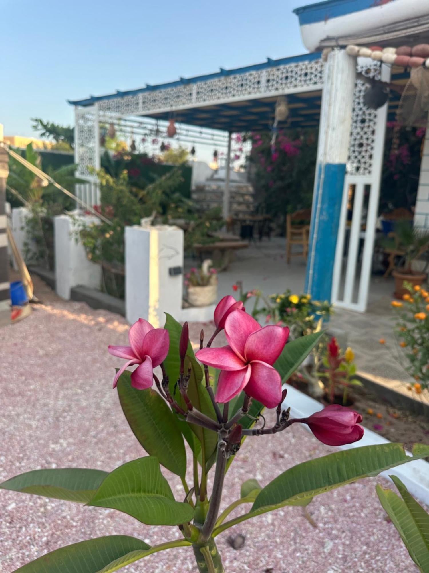 Salem Fish Guest House Ras al Hadd Exterior foto