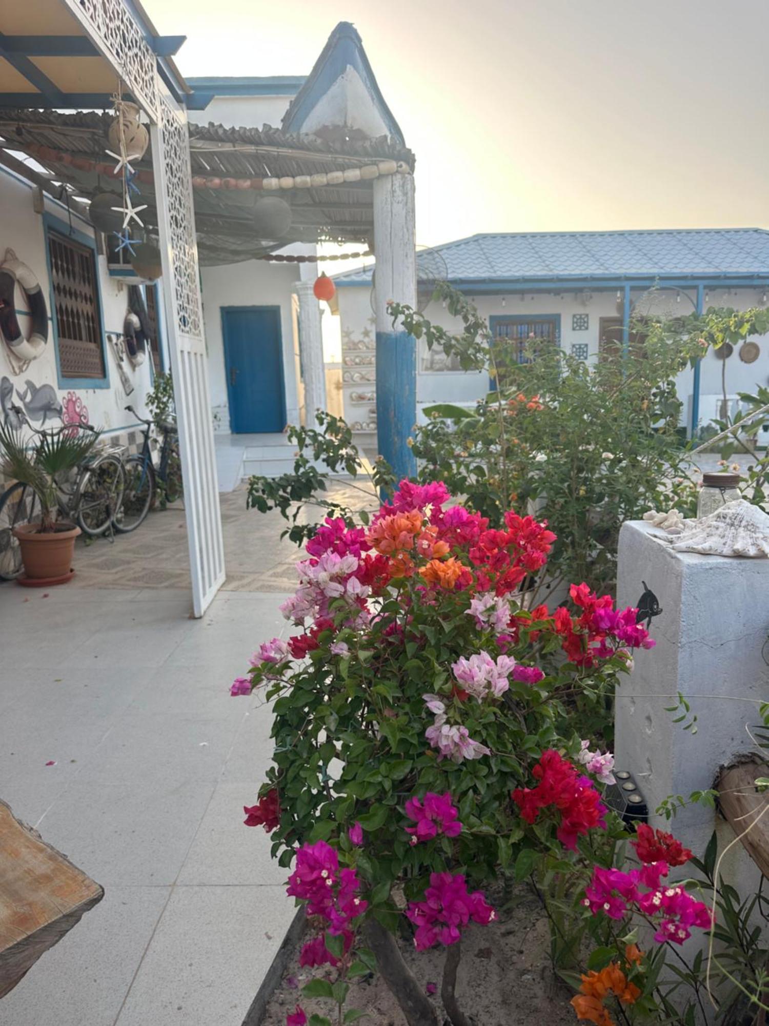 Salem Fish Guest House Ras al Hadd Exterior foto